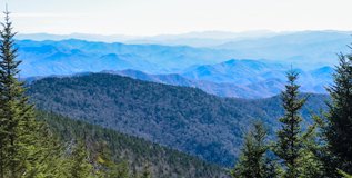 Newfound Gap Overlook - Great Smoky Mountains Scenic view of layered blue mountain ridges framed by evergreen trees from the Newfound Gap overlook along the Tennessee-North Carolina border